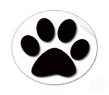 pet-shops-no-Cursino